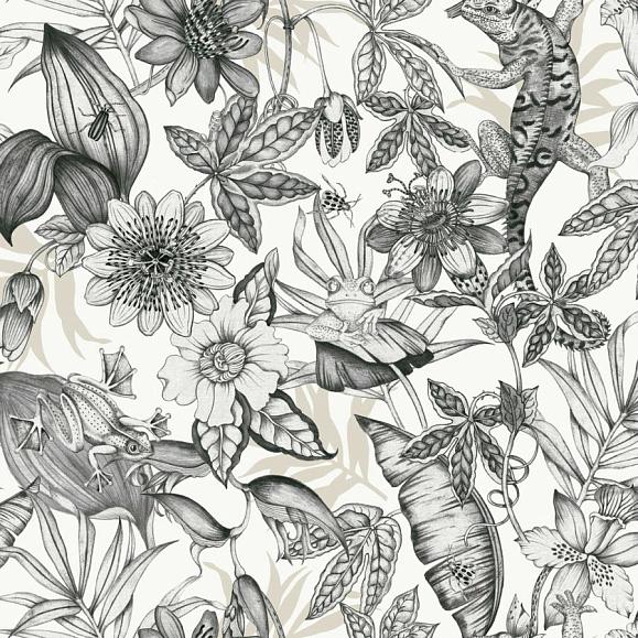 Обои York BL1703 Rainforest White/Charcoal