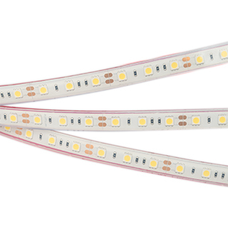 Светодиодная герметичная лента Arlight RTW-PFS-B60-13mm 12V Blue (14.4 W/m, IP68, 5060, 5m) (Arlight, 14.4 Вт/м, IP68) 036280