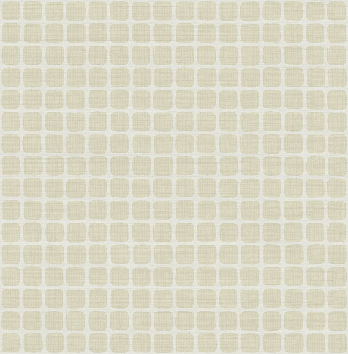 CE21807