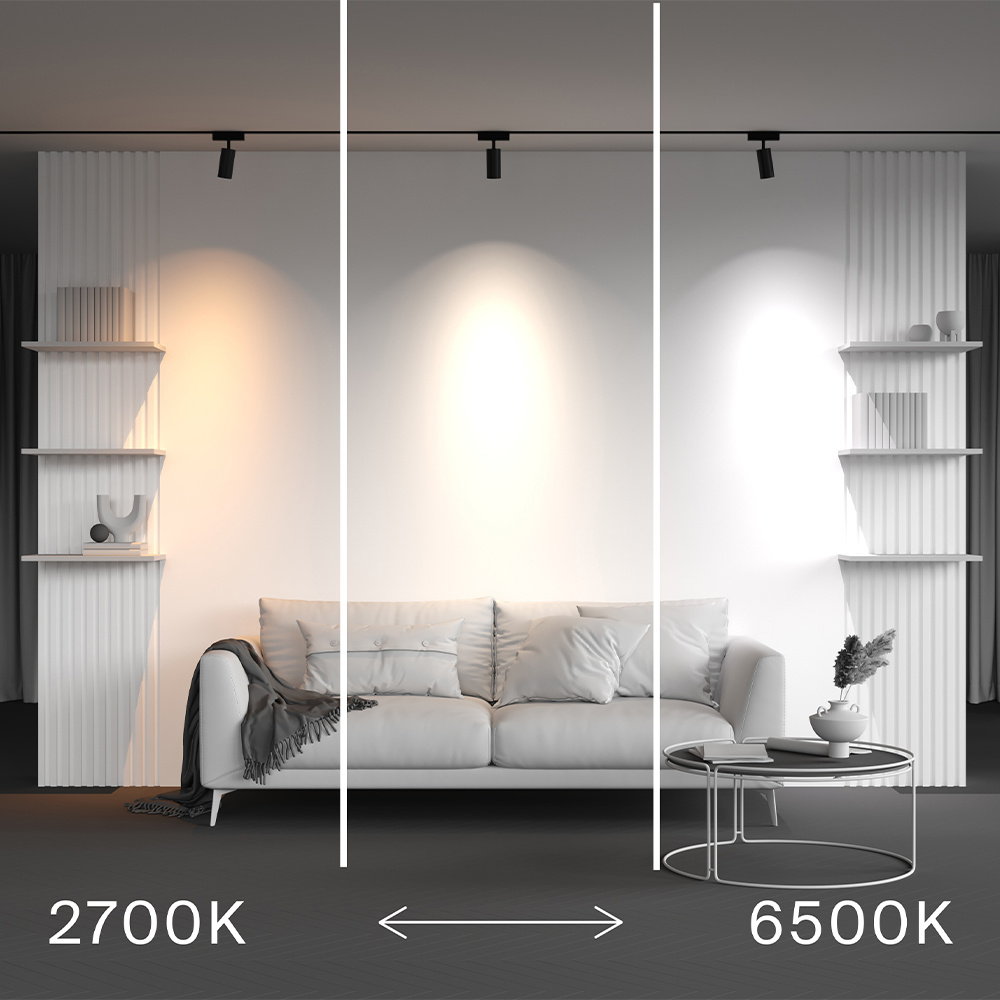 Трековый магнитный светильник Maytoni Technical Focus Led Radity TR103-4-12WTW-M-B