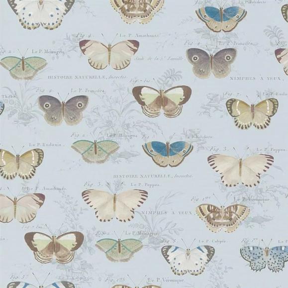 Обои John Derian PJD6017/02 Butterfly Studies Cloud Blue