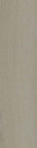 ATLAS CONCORDE LOG SELECT Silver Flamed Outdoor 20 mm