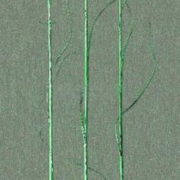 Панно Marburg 33272