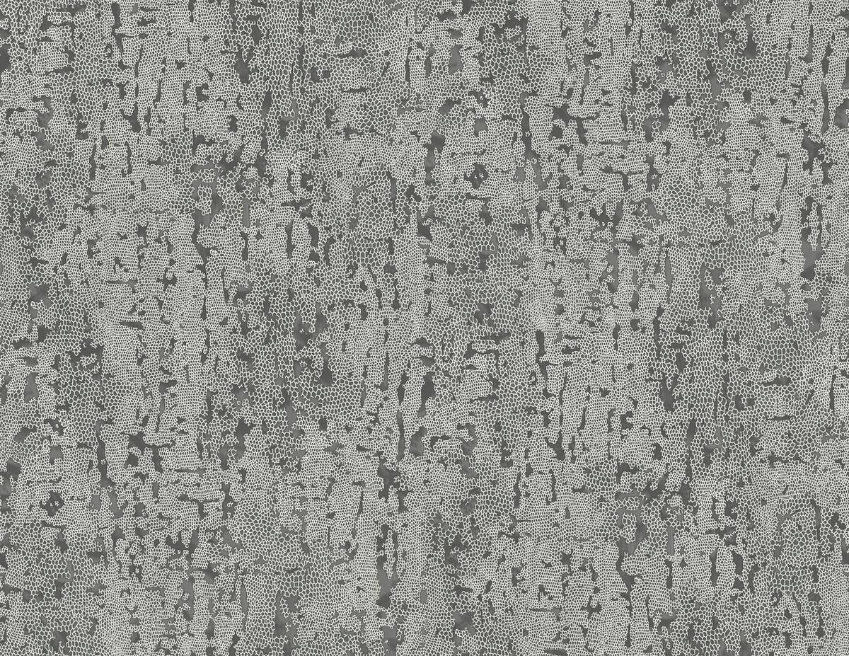 BW60200