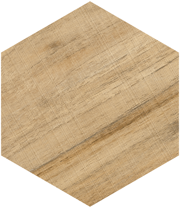 Hexagono Gamma Miel