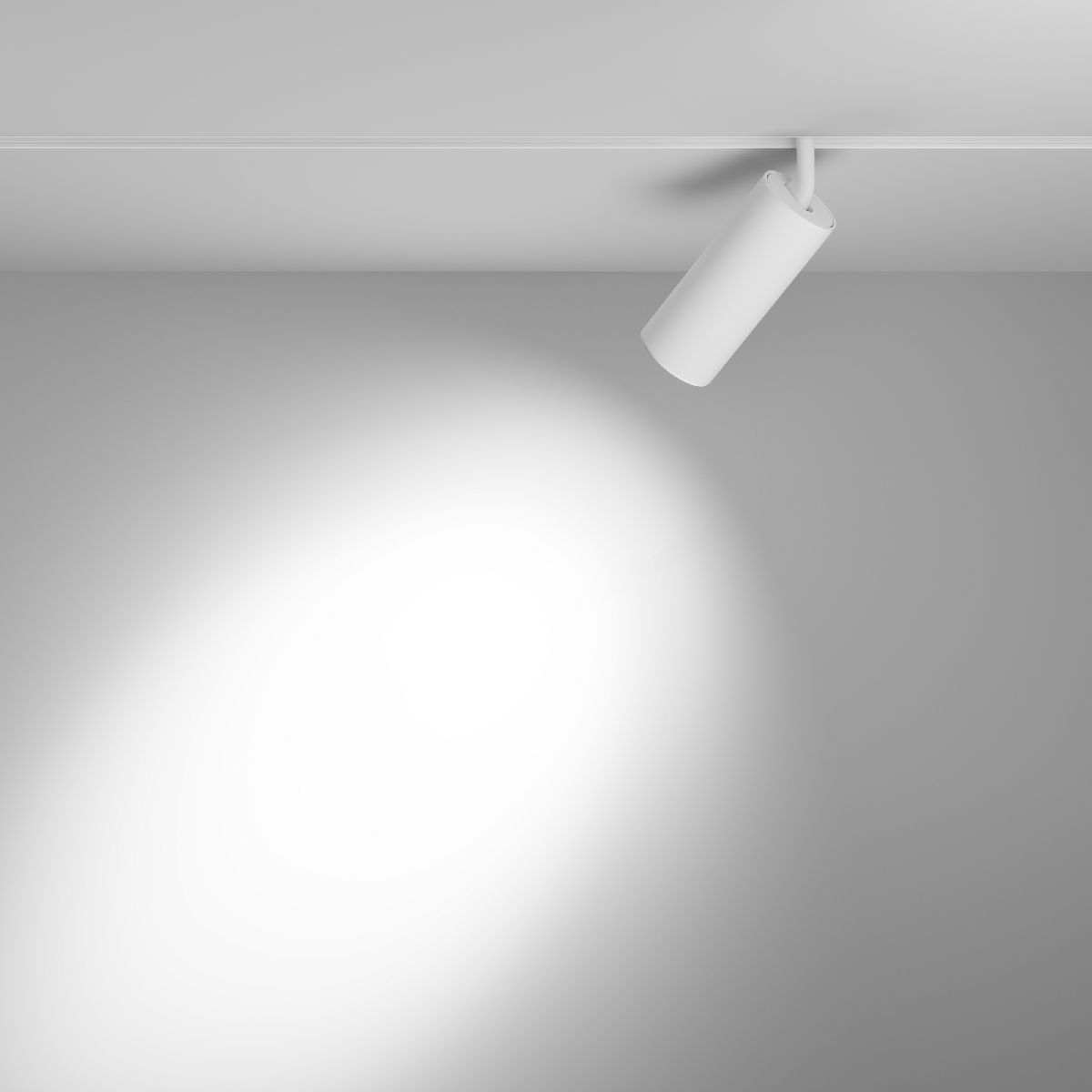 Трековый магнитный светильник Maytoni Focus LED TR032-2-20W3K-S-W
