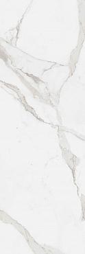 Плитка Statuario White W M 25x75 NR Glossy 1
