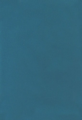 POLISTOF_443