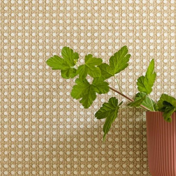 Обои Caselio 106021000 Cannage Beige