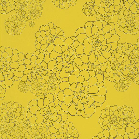 Обои Paint & Paper Library 0393AEGAMBO Aeonium Gamboge