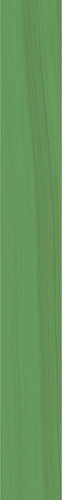 41zero42 TECHNICOLOR Herb