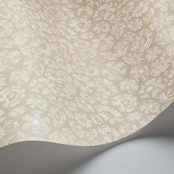 Обои Cole & Son 119/4021 Savanna Shell