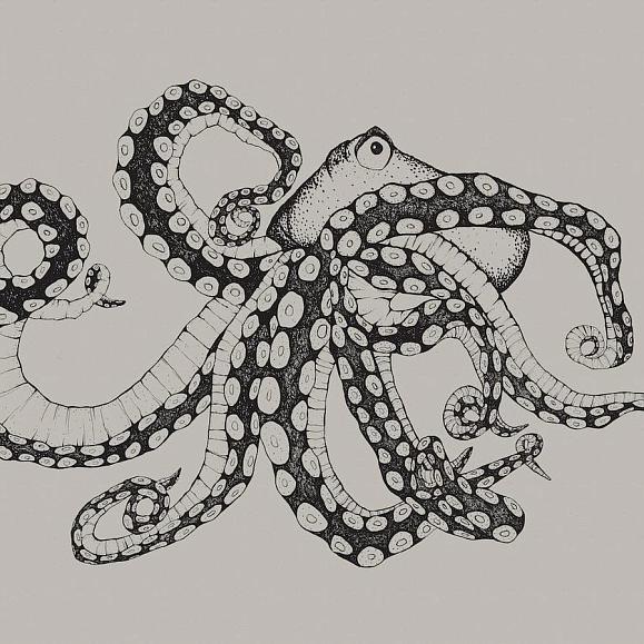 Панно Coordonne 9500800N Octopus X-Ray Ink