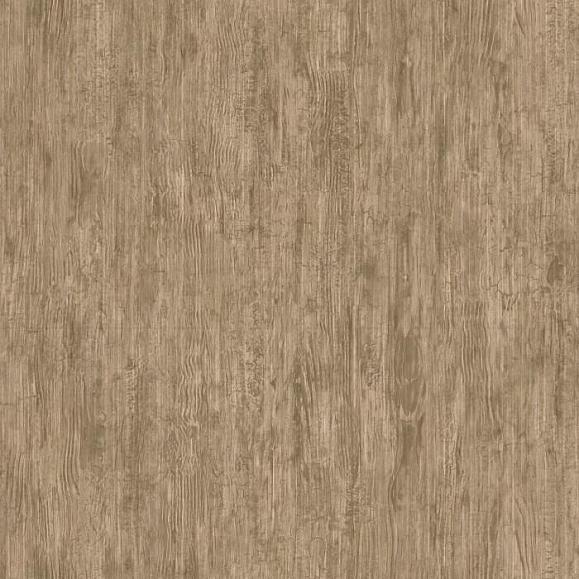 Обои Casadeco 85992535 Woods Meleze Ecorce