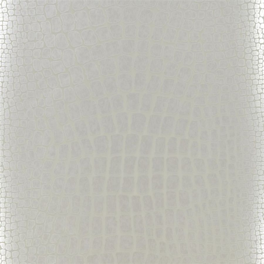 P539/05