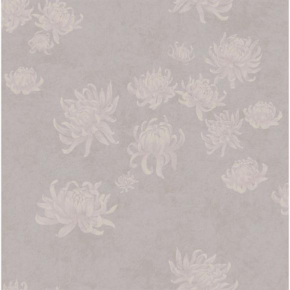 Обои Astratonova ² VI-Chr1-04 Chrysanthemum dance1 pale rose04