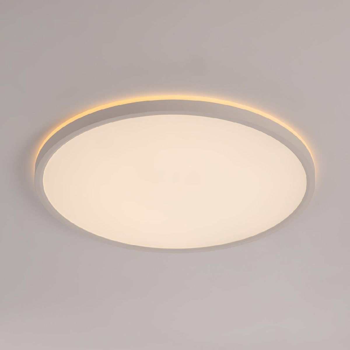 Потолочный светильник Citilux Norma CL748400