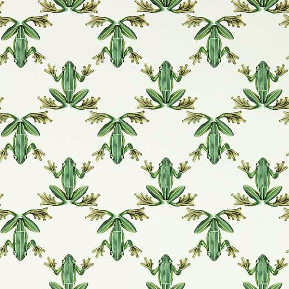 Обои Harlequin 113011 Wood Frog Forest/Chalk