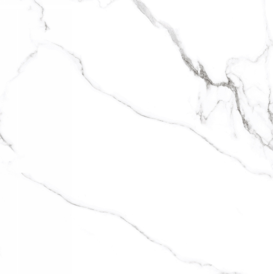 Mckinley Polished CV20208