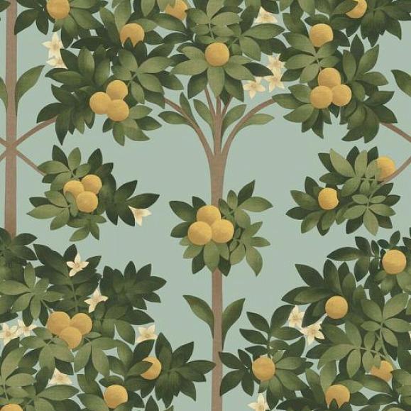 Обои Cole&Son 117/1002 Orange Blossom