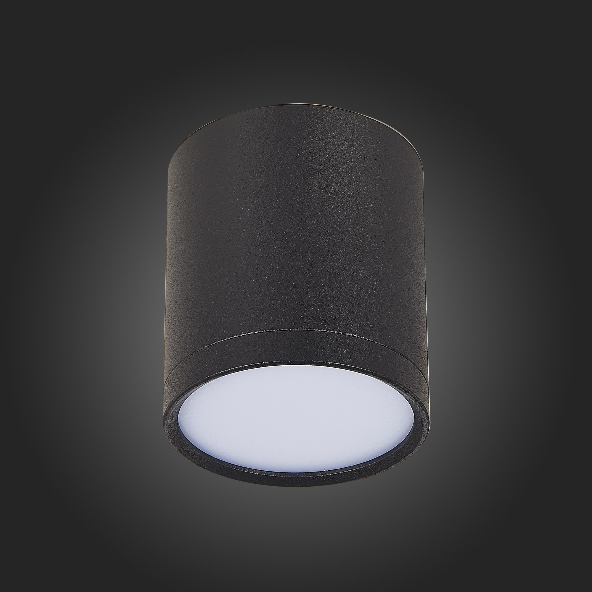 Потолочный светильник ST Luce Rene ST113.432.05