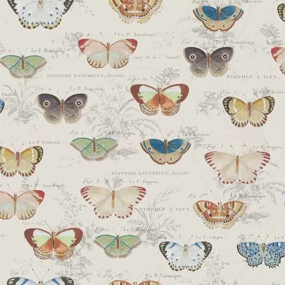 Обои John Derian PJD6017/01 Butterfly Studies Parchment