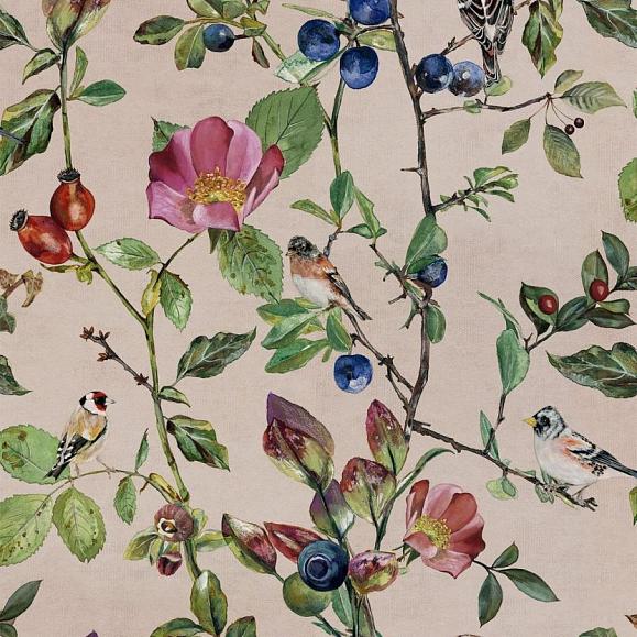 Обои Coordonne 9500032V Goldfinch Song Blush