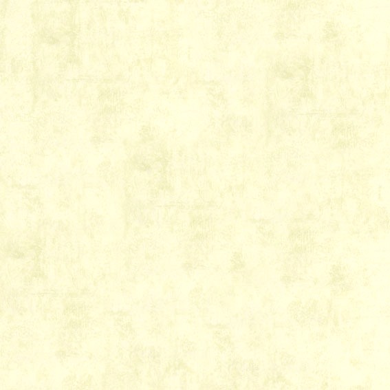 B1181102