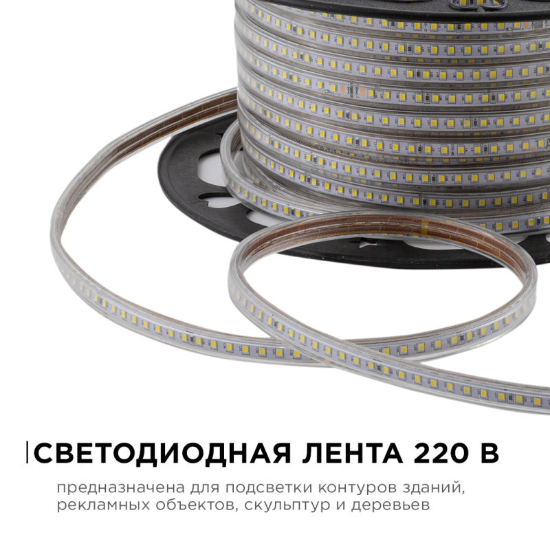 Светодиодная лента OGM Эконом 220В 2835 7Вт/м 6500К 50м IP65 O17-09