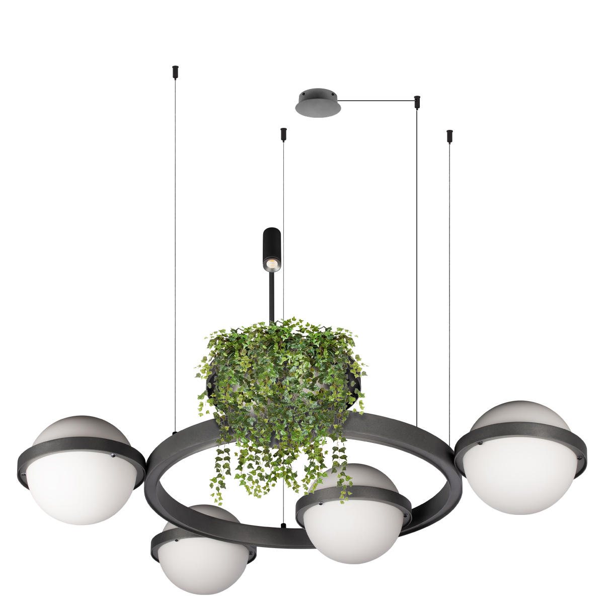 Подвесная люстра Loft IT Jardin 10121/4 Dark grey