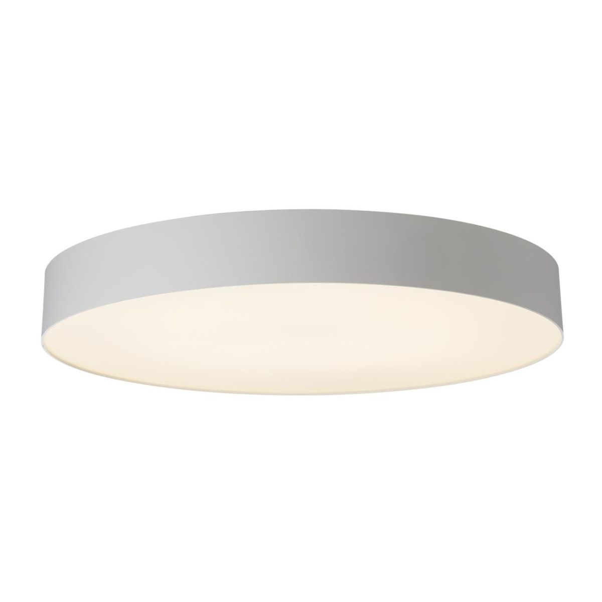 Потолочный светильник Citilux Bart CL755490