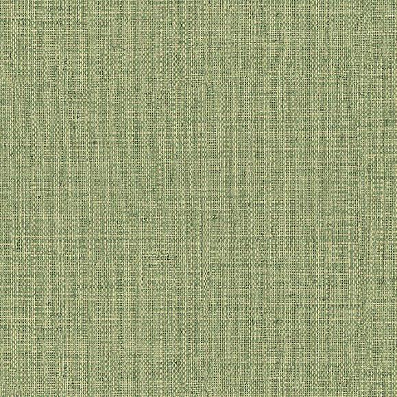 Обои Arte 49517 Nongo Olive