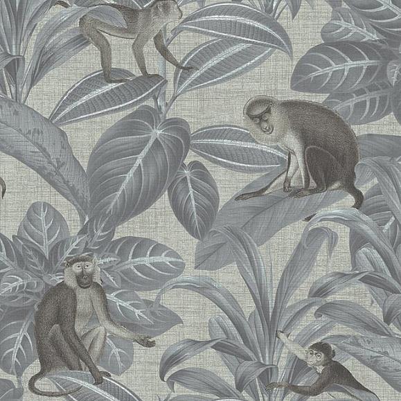 Обои KT-Exclusive DYW0007 Indian monkeys