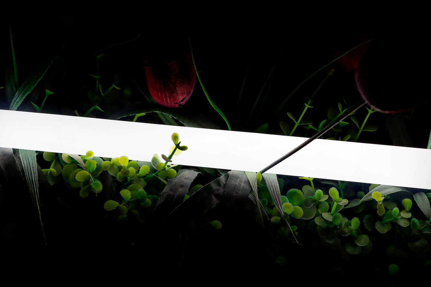 Светодиодная лента SWG PRO 2835 360 LED/м 16 Вт/м 24В 4000K IP66 013284