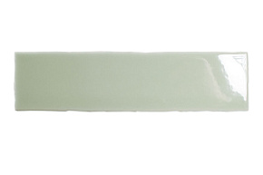 DNA ECLAT Mint