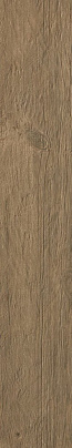 ATLAS CONCORDE AXI Brown Chestnut
