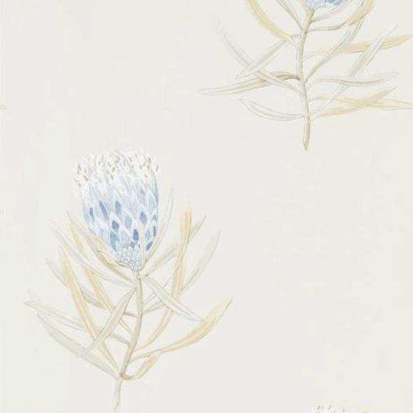 Обои Sanderson 216327 Protea Flower China Blue/Canvas