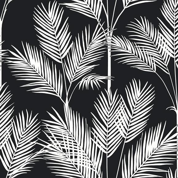 Обои York CV4409 King Palm Silhouette Black