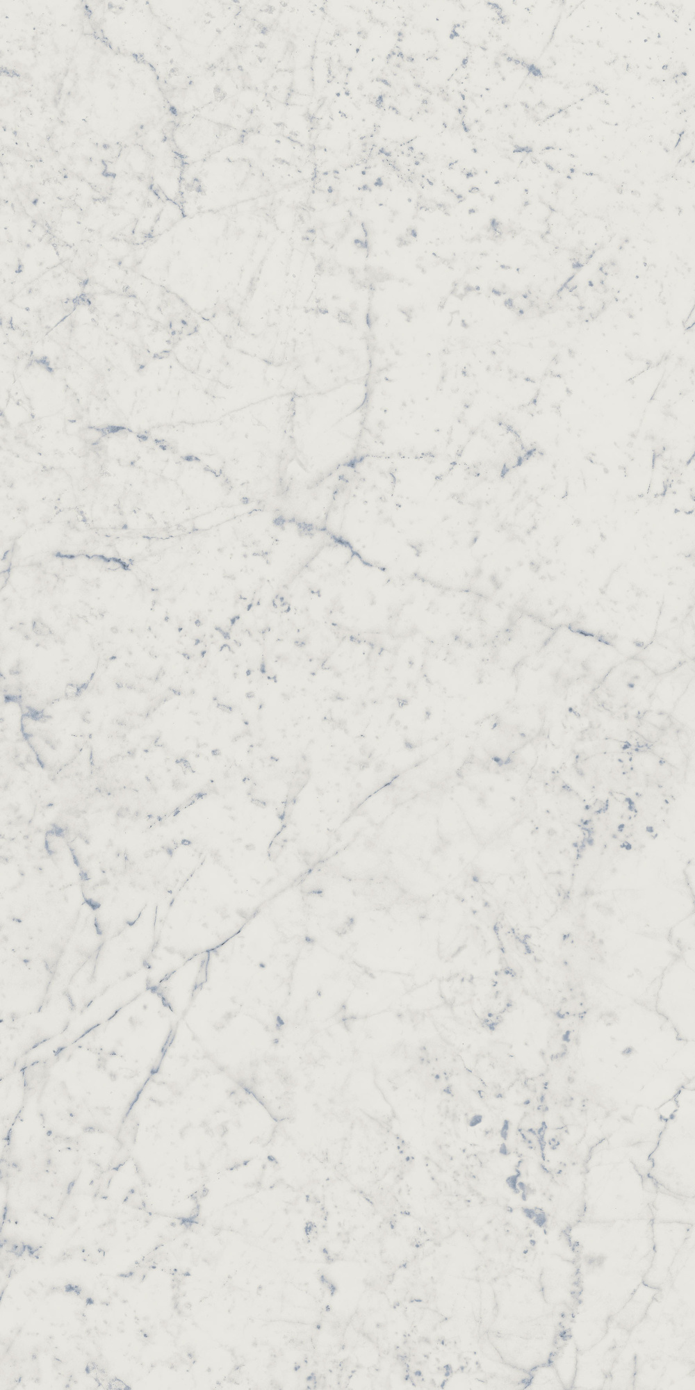 CHA.EXT.CARRARA 60X120 LUX