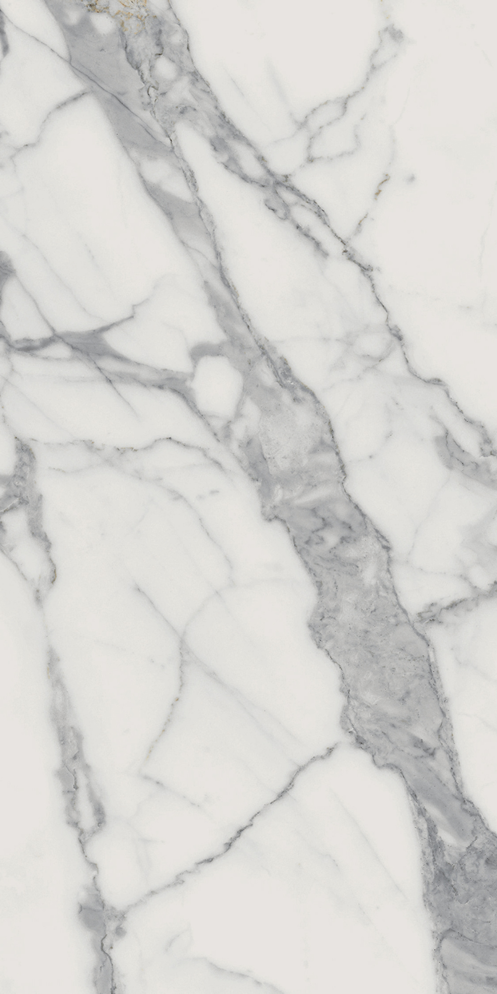 CHA.EVO STATUARIO 60X120 RET