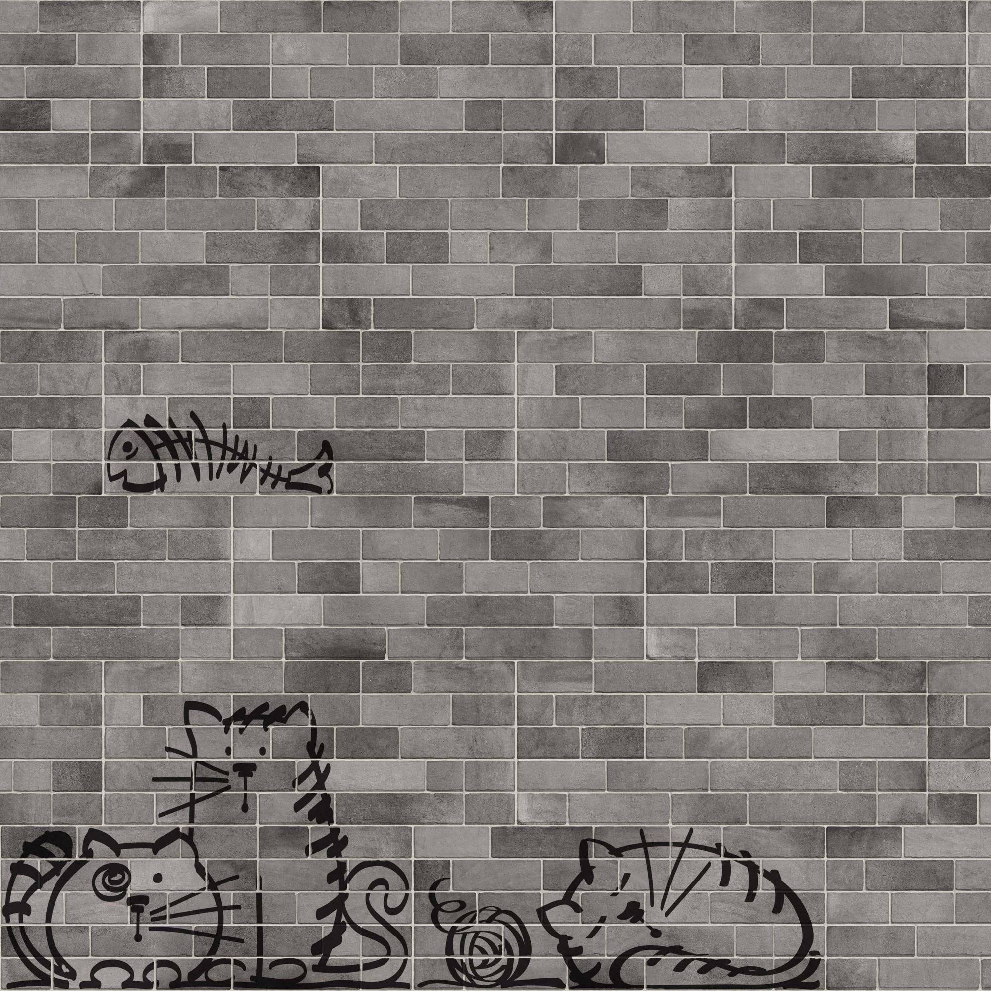 Nuney-4 Grafito
