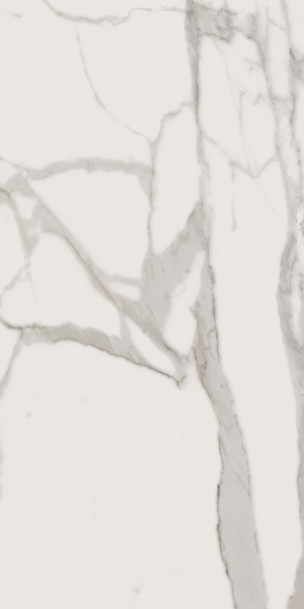 CHA.EVO CALACATTA 44X88 LUX