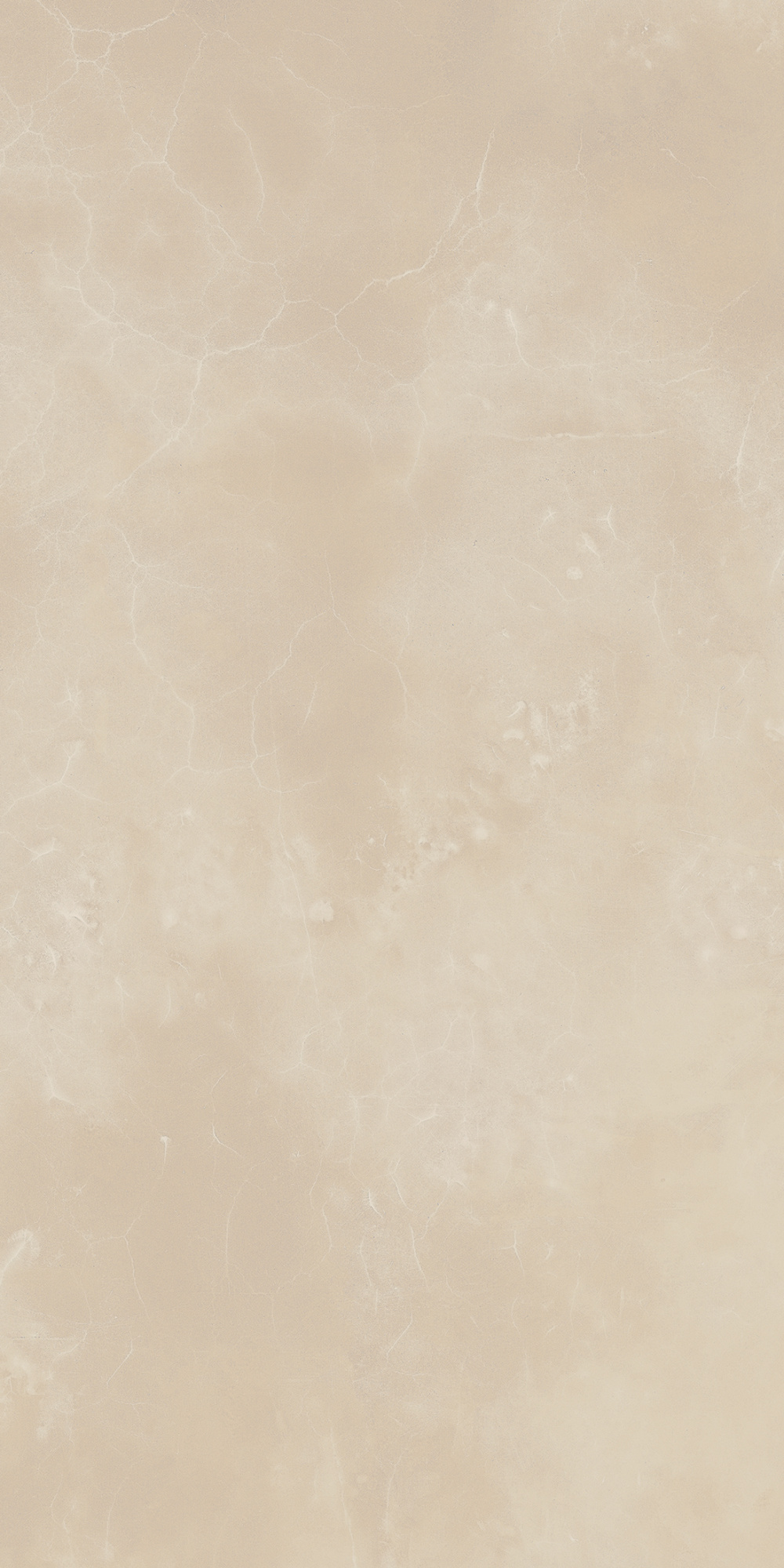 CHA.EVO ONYX 44X88 LUX