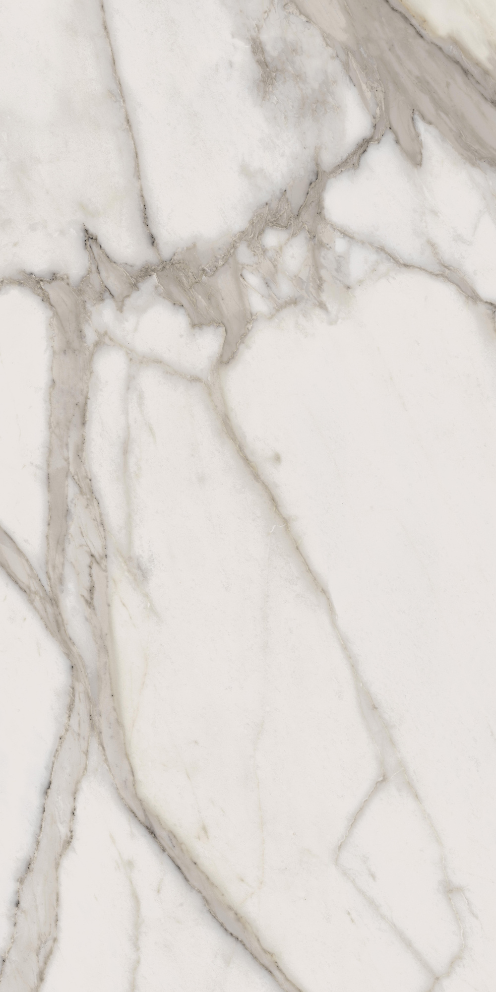 CHA.EVO CALACATTA 60X120 LUX