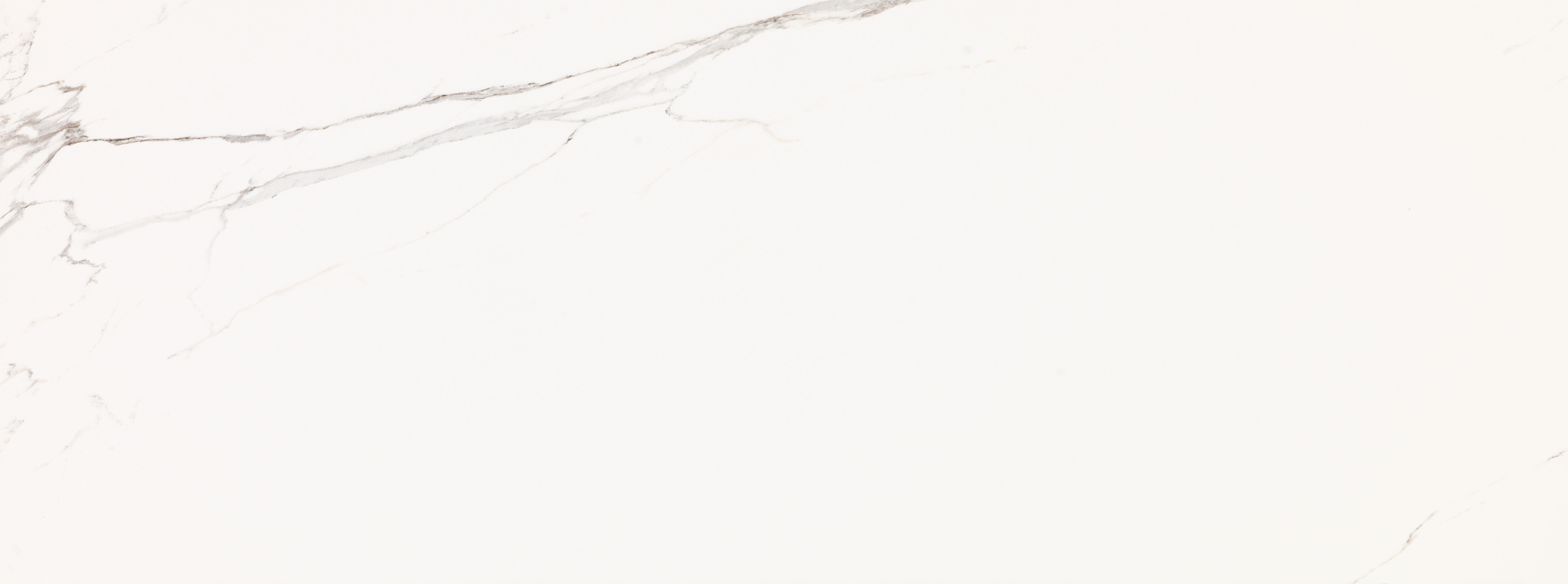 ARTIC NATURE 45X120