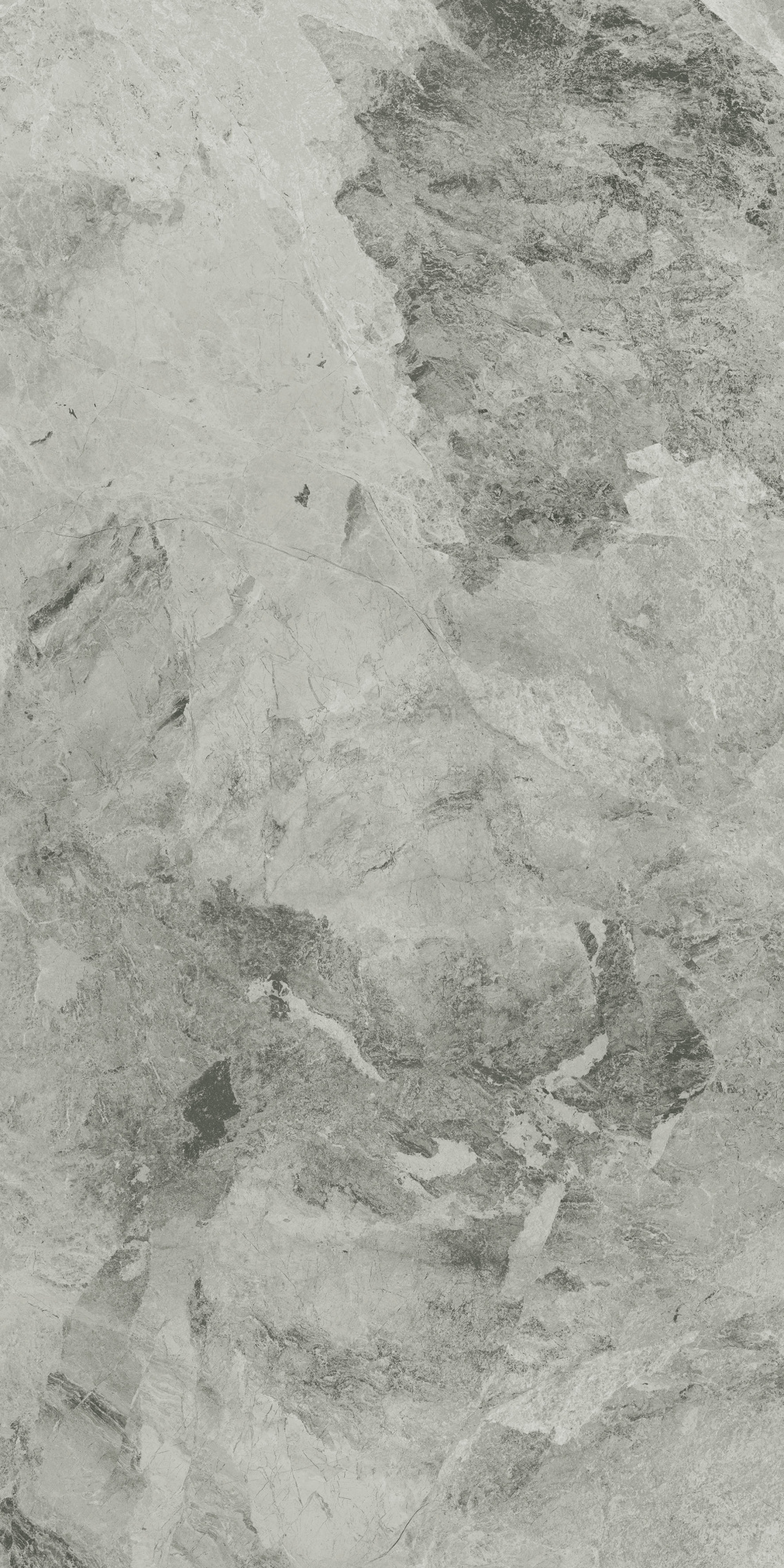 CHA.EXT.SILVER 60X120 LUX