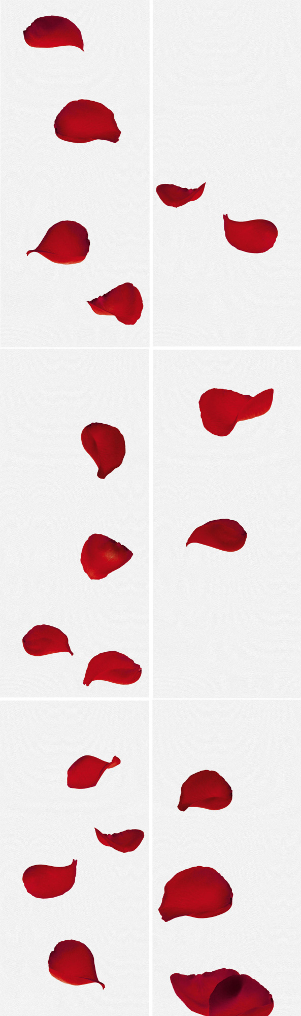 Nerta Rojo-6