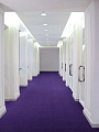 Arc Edition Palace