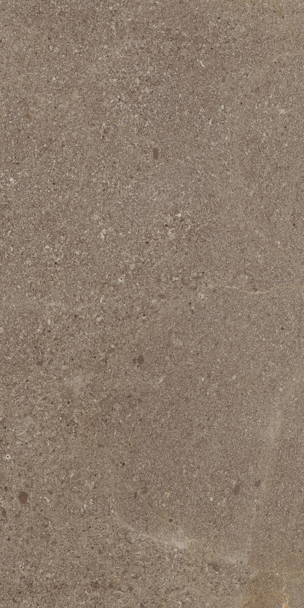 CONTEMPORA BURN 30X60 CER