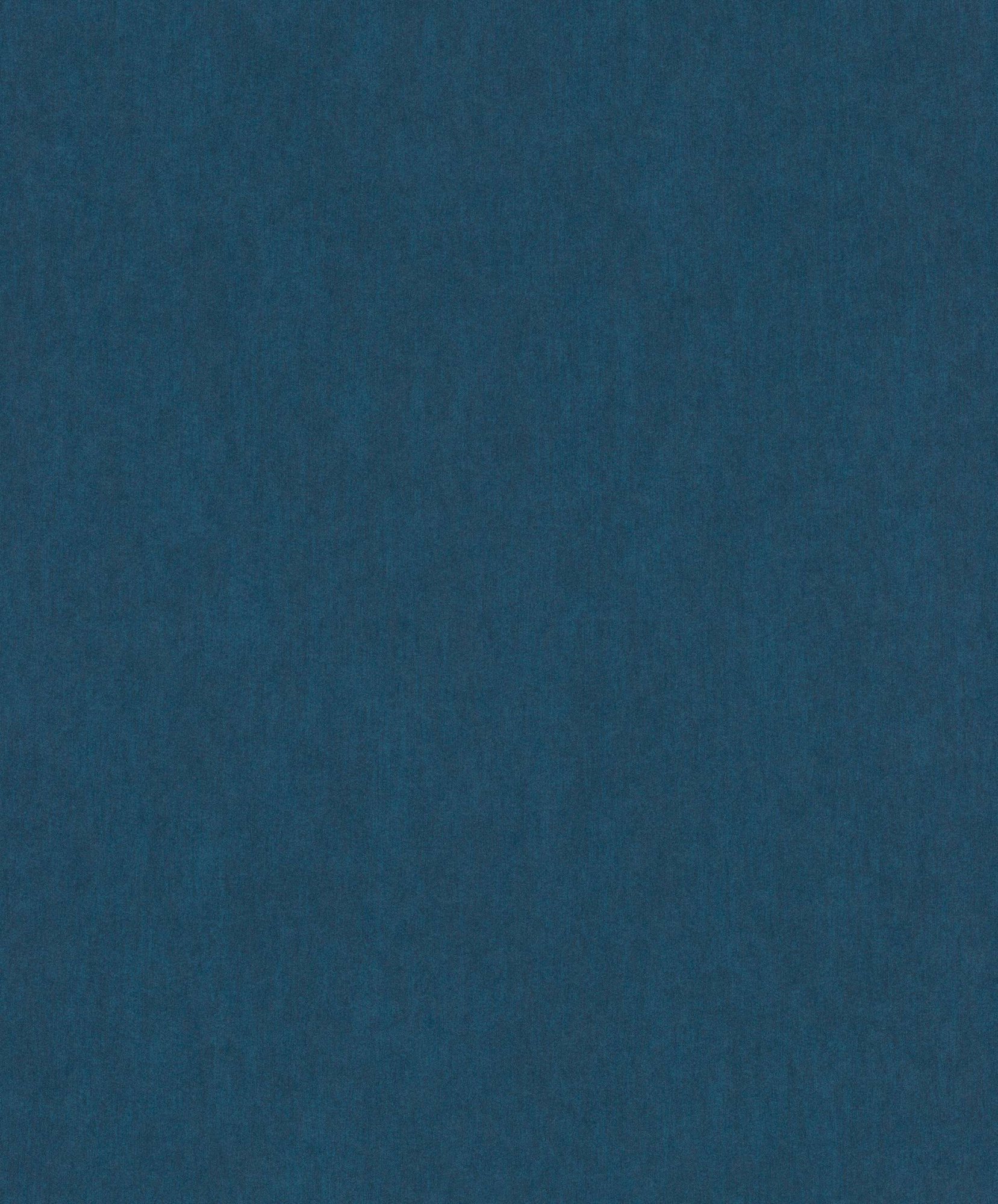 291079